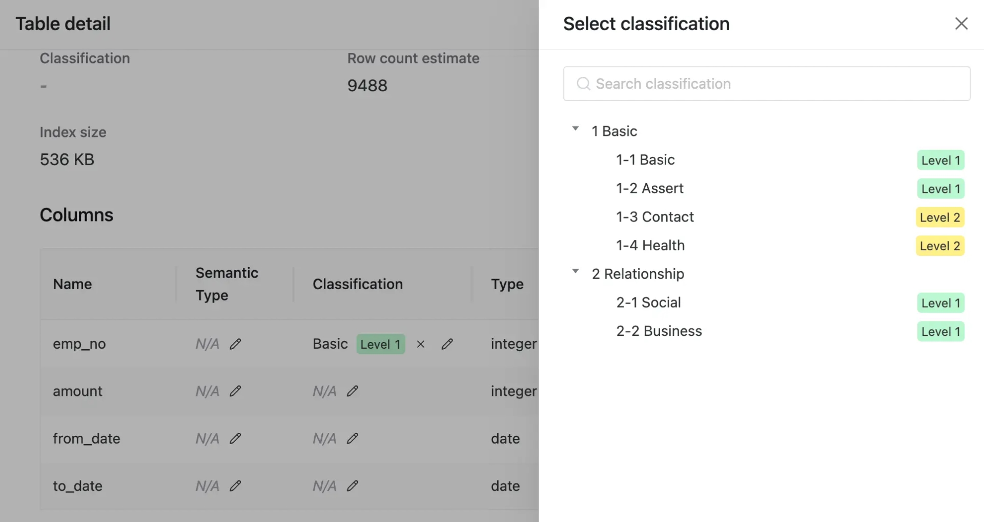 bb-classification-column-masking